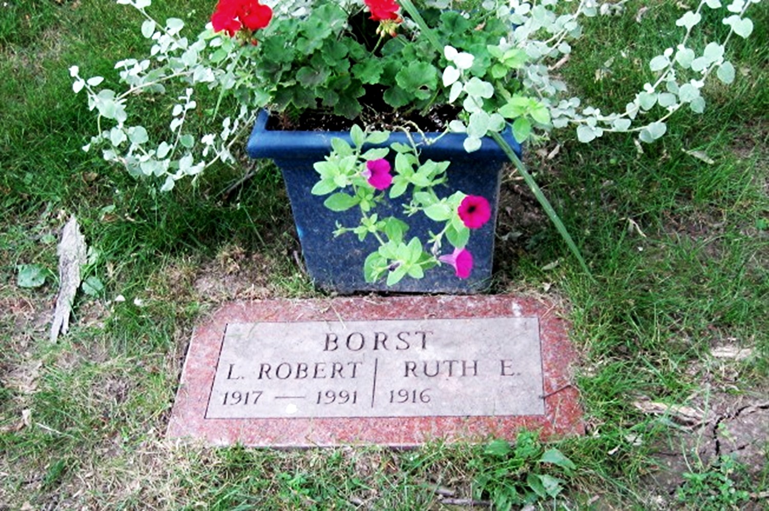 Emilia Sophia Larson